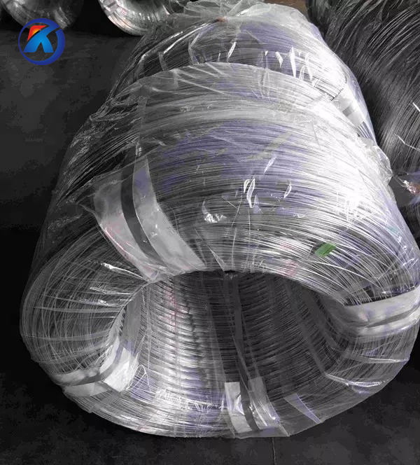 BWG20 21 22 Galvanized Steel Wires