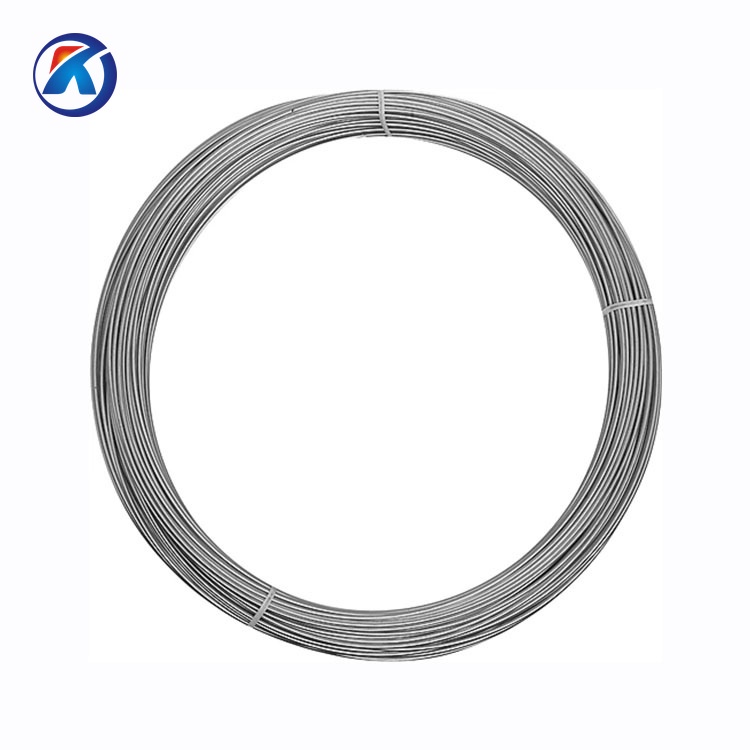 Stainless Steel Wire