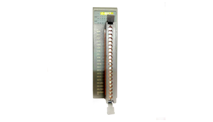Digital Output Module