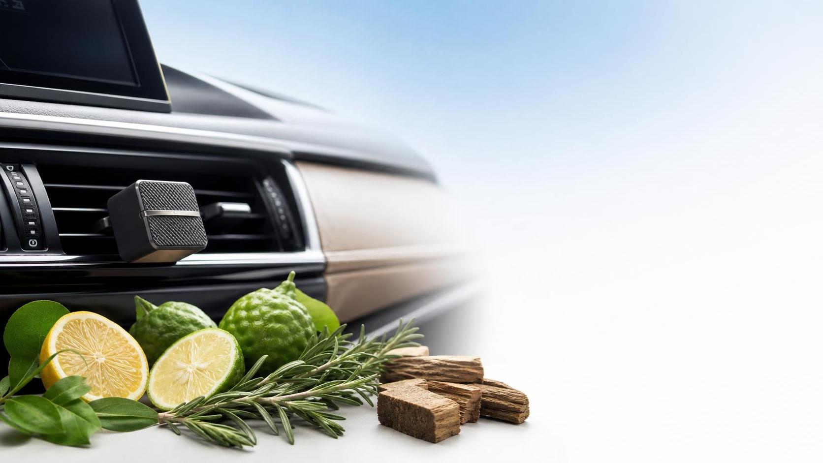 Meilleur parfum de voiture pour fumeurs : quelles notes réduisent le mieux l’odeur de fumée