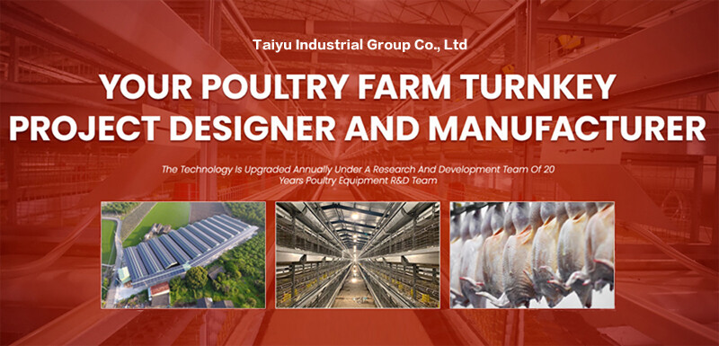 1-1.jpg Types of A-type battery cages offer a sustainable and cost-effective way to manage your poultry farm efficiently