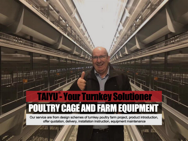 3-3.jpg Types of A-type battery cages offer a sustainable and cost-effective way to manage your poultry farm efficiently