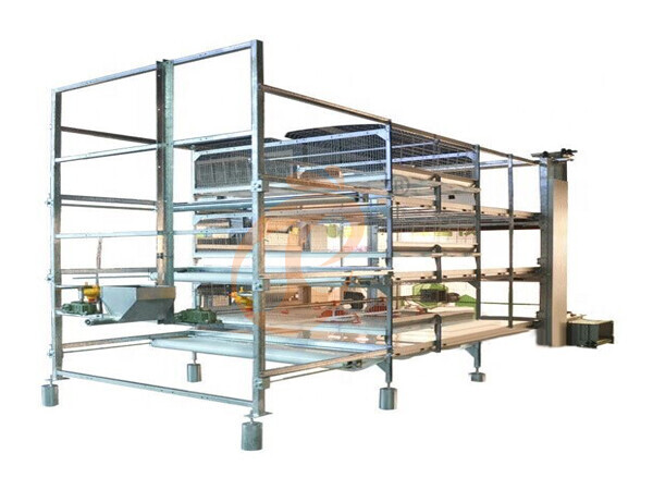 broiler chicken cage design (2) broiler chicken cage design (2)