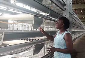 Зачем нужно управление бройлерной фермой на птицефабрике