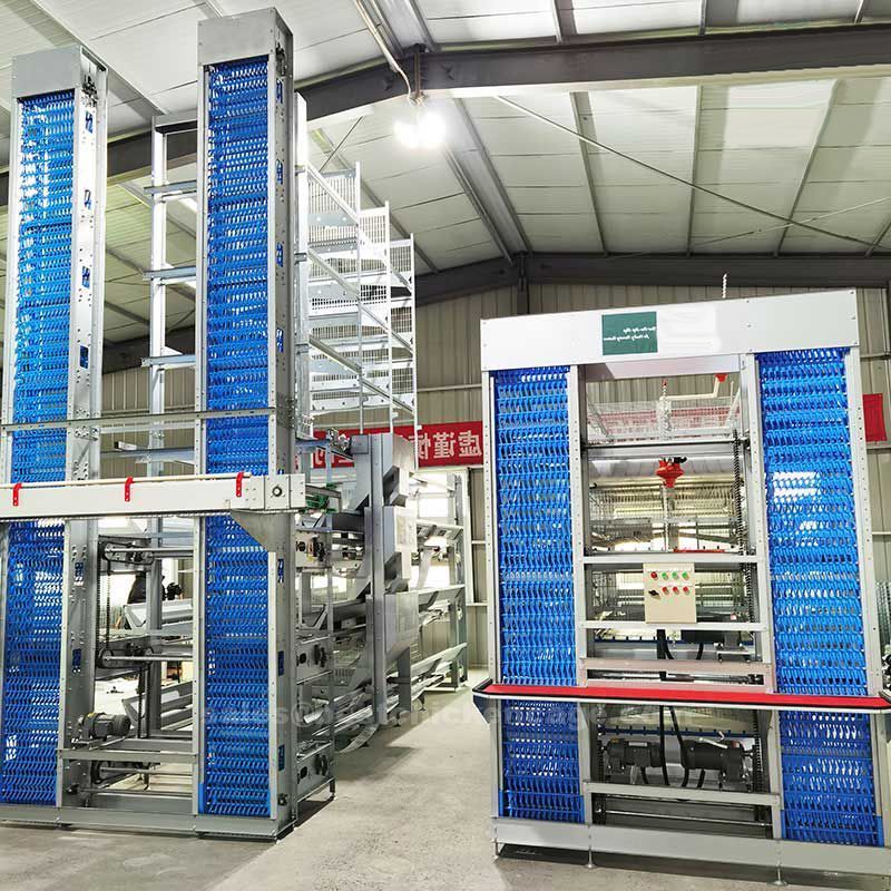 鸡笼或蛋鸡笼H (32).jpg How to increase sale of chicken cage
