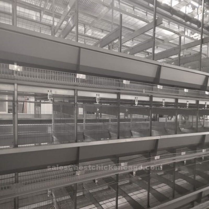 鸡笼或蛋鸡笼H (4).jpg Chicken battery cage H frame galvanized layer cage