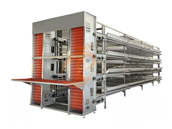 Layer Chicken Cage Design