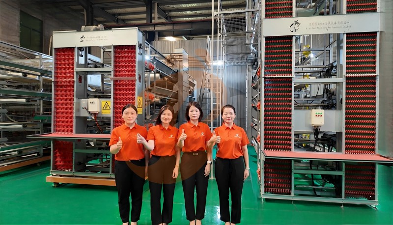 supplier and manufacture chicken cage and poultry farm equipment (7)