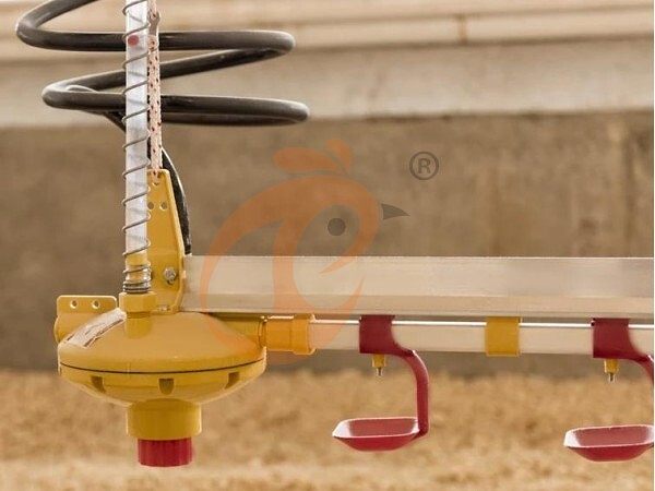 deep litter system (8)