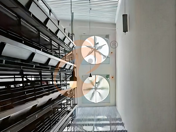 1763436098849246310939623424