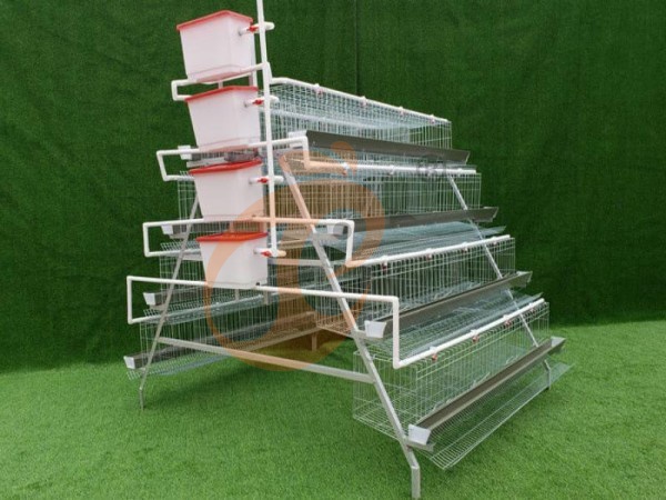A H layer chicken battery cage price in poultry farm (1)