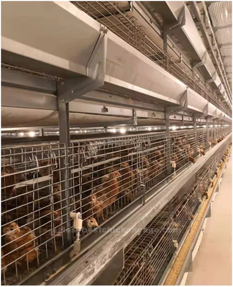 Our company's poultry equipment