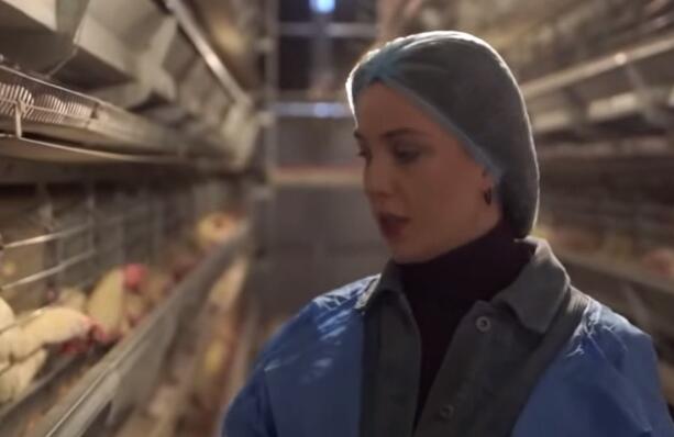 Você conhece o sistema de gaiolas em bateria na avicultura? Ele está equipado com sistemas de alimentação e água, além de instalações para coleta de ovos