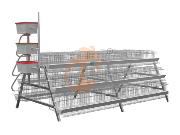 Chicken Cage Design (17)
