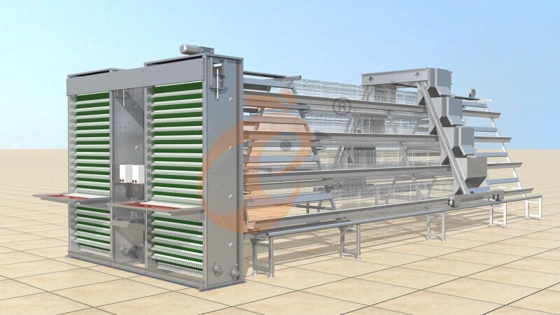 layer chicken cage design (4)