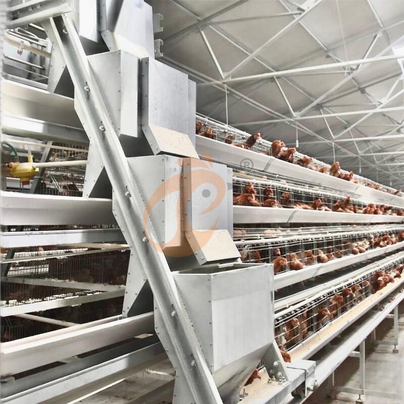 Layer Chicken Cage Design (3) Layer Chicken Cage Design (3)