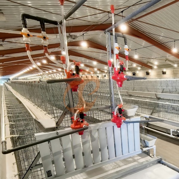 Broiler chicken cage (1) Broiler chicken cage (1)