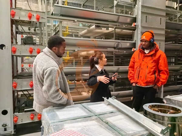 Filial da Nigéria Oferece Plano de Negócios para Avicultura, Fabrica Equipamentos para Avicultura