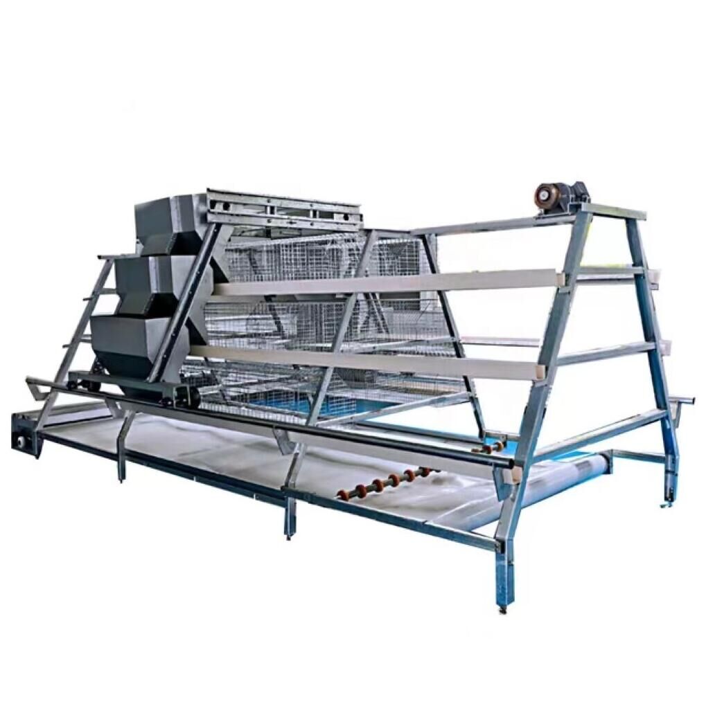 Introdução de um tapete de estrume numa gaiola de aves de capoeira de estrutura em A