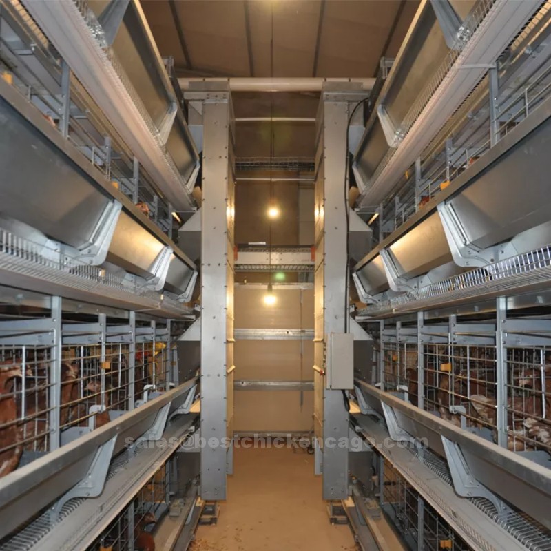 What are the advantages of battery cage system