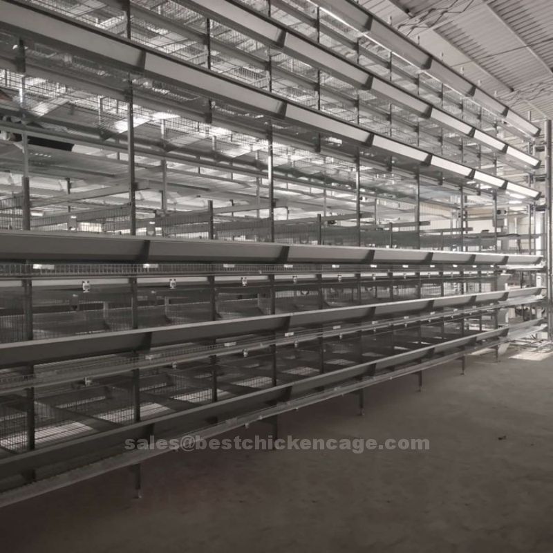 鸡笼或蛋鸡笼H (21).jpg Characteristics of layer battery cage using in poultry farm