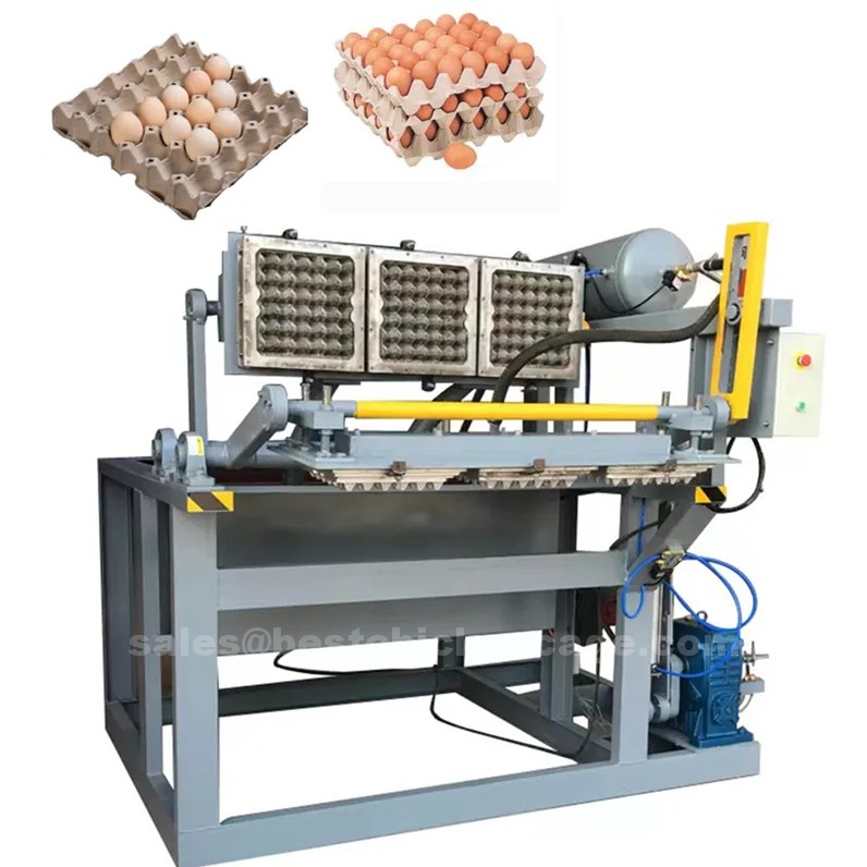 Why you need egg tray equipment in poultry farm