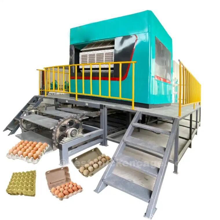 Do you know these on paper egg tray machine in poultry farm