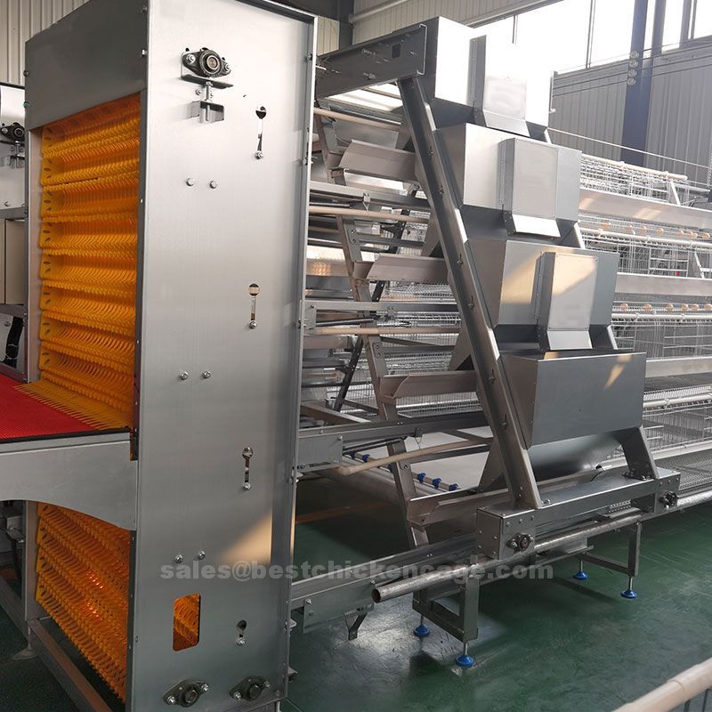 鸡笼或蛋鸡笼A (33).jpg Battery cage for chicken welfare in poultry farm
