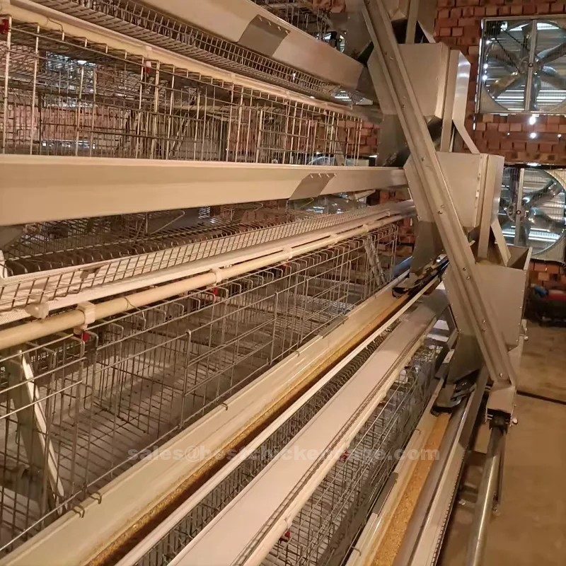 鸡笼或蛋鸡笼A (5).png Manual cleaning of poultry battery cage