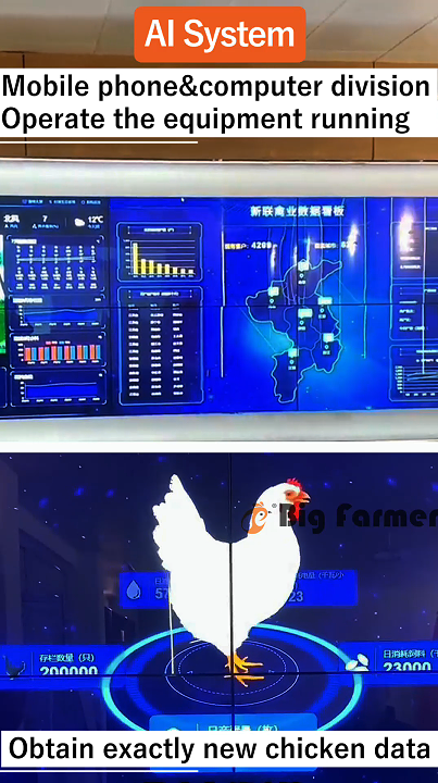 Layer Chicken Cage Design (4) Layer Chicken Cage Design (4)
