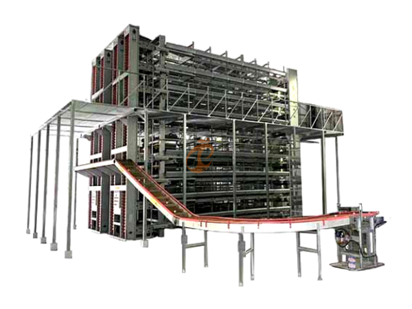Layer Chicken Cage Design (16) Layer Chicken Cage Design (16)