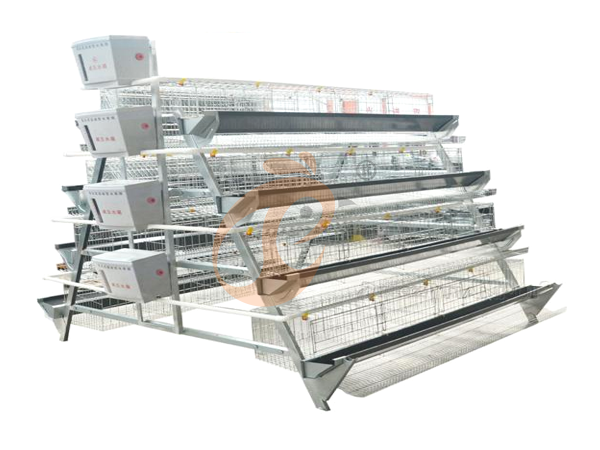 Chicken Cage Design (18)