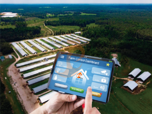 AI management poultry farm (1) AI management poultry farm (1)