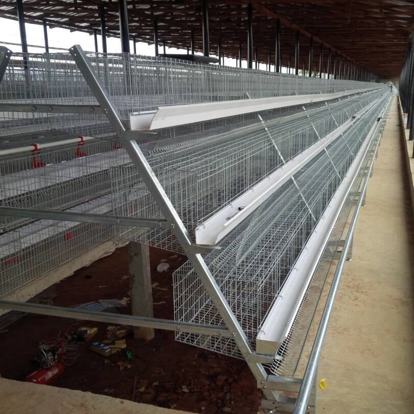 Gestion de l'environnement dans les élevages de volailles