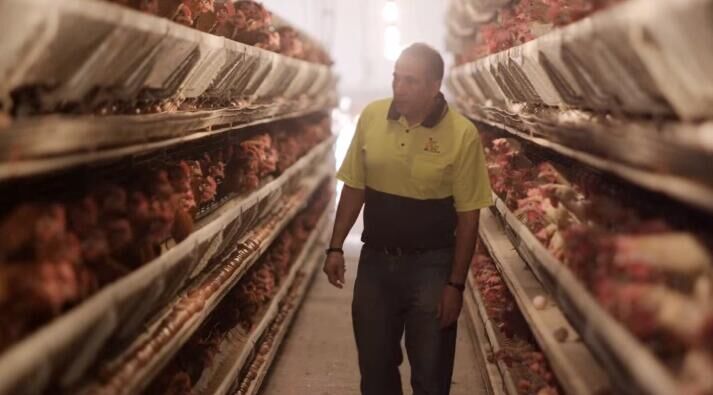 Gestion des poulets à haute température