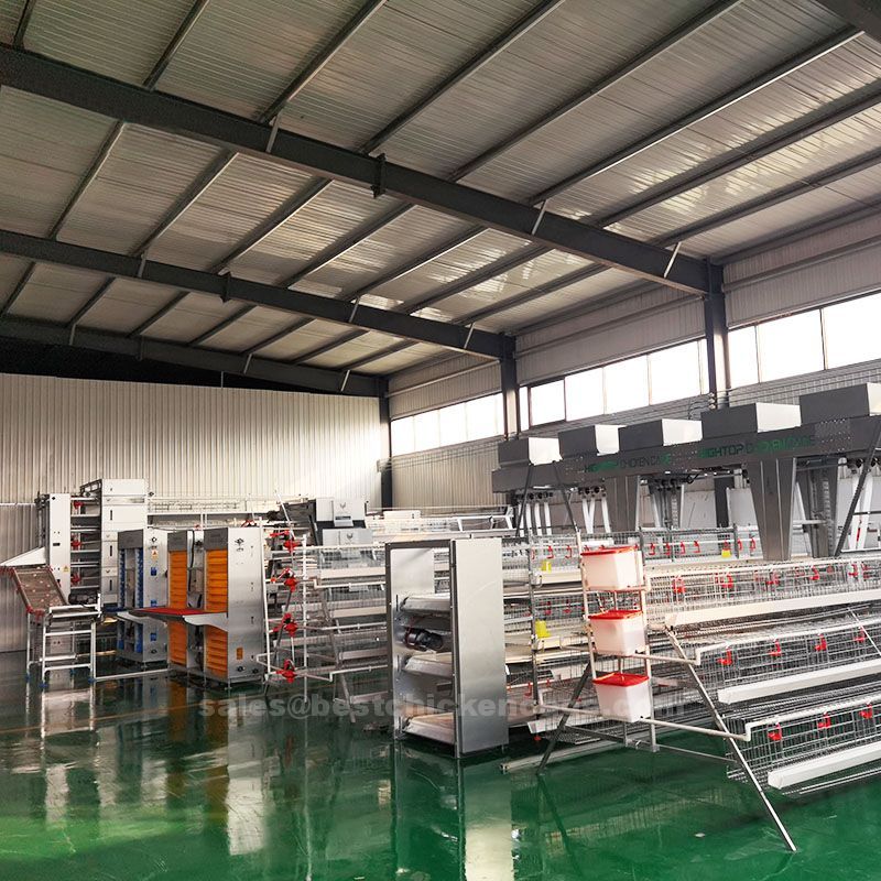 What is poultry farming cage system in poultry farm