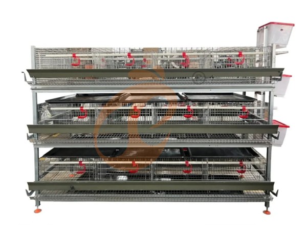 Day Old Chicken Cage (1)