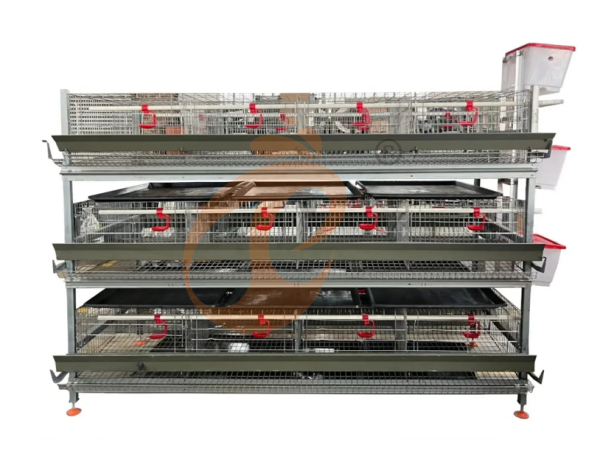 Day Old Chicken Cage (1)