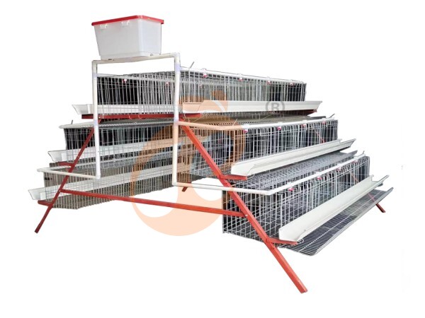 chicken battery cage poultry farm 1 (11)