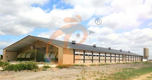 1763434709849240484241854464 poultry house ventilation 5