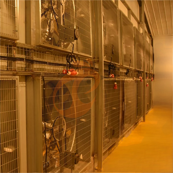 1763434718849240522737176576 poultry house ventilation 2 (4)