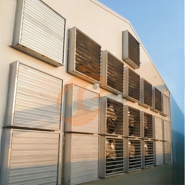 1763435704849244656450260992 poultry house ventilation 2 (1)(1)