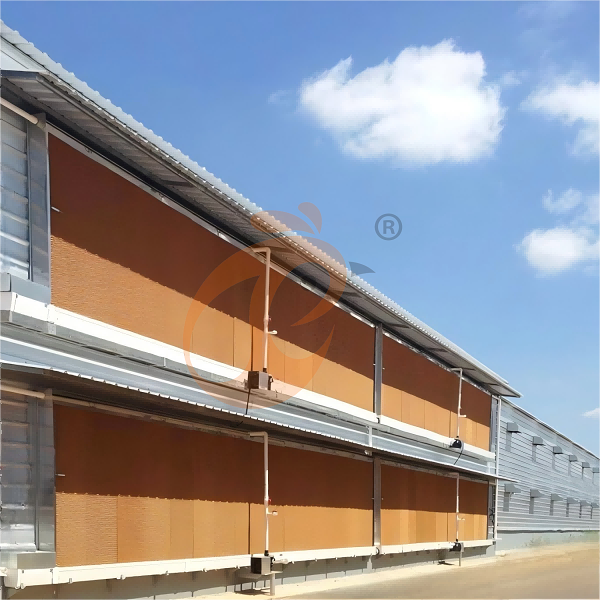 1763434714849240505553113088 poultry house ventilation 2 (2)