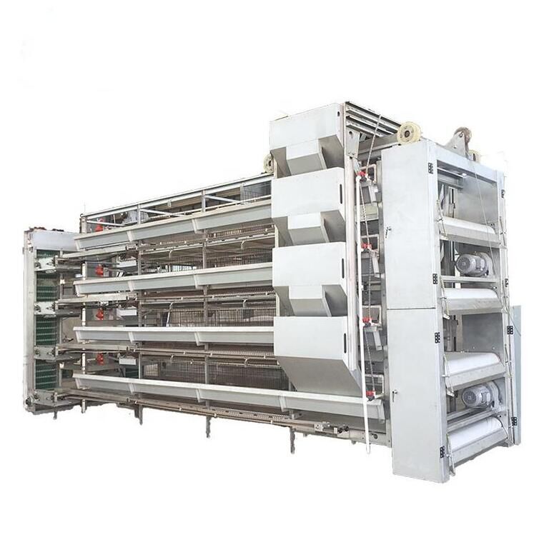 Máquina automática de alimentación en jaula para pollos