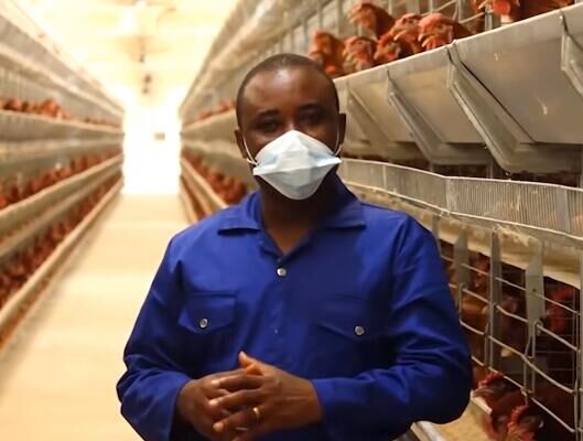 Ventajas de formular sus propios piensos para aves de corral con una máquina para fabricar piensos