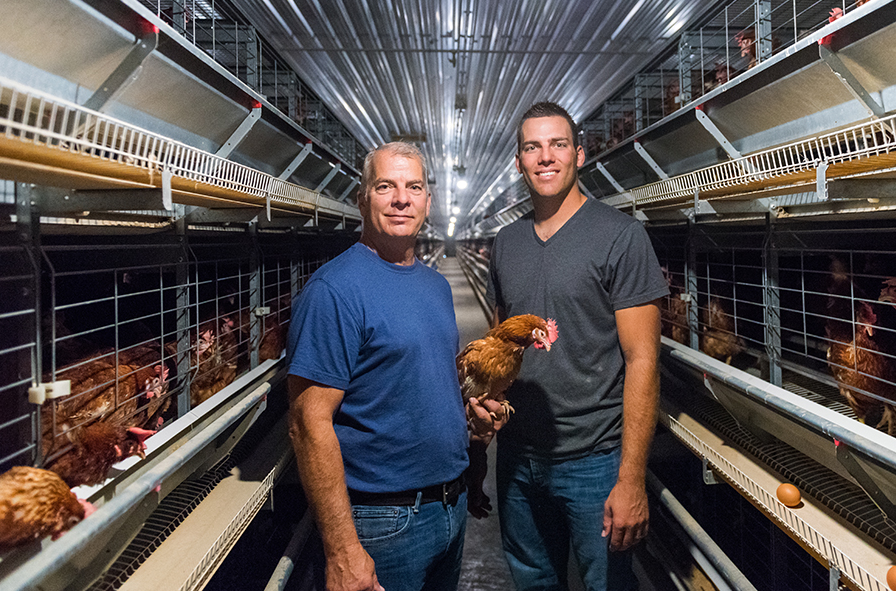 Las jaulas automáticas para avicultura están diseñadas para la cría de aves de corral y ayudan a optimizar su crecimiento y su salud en general.