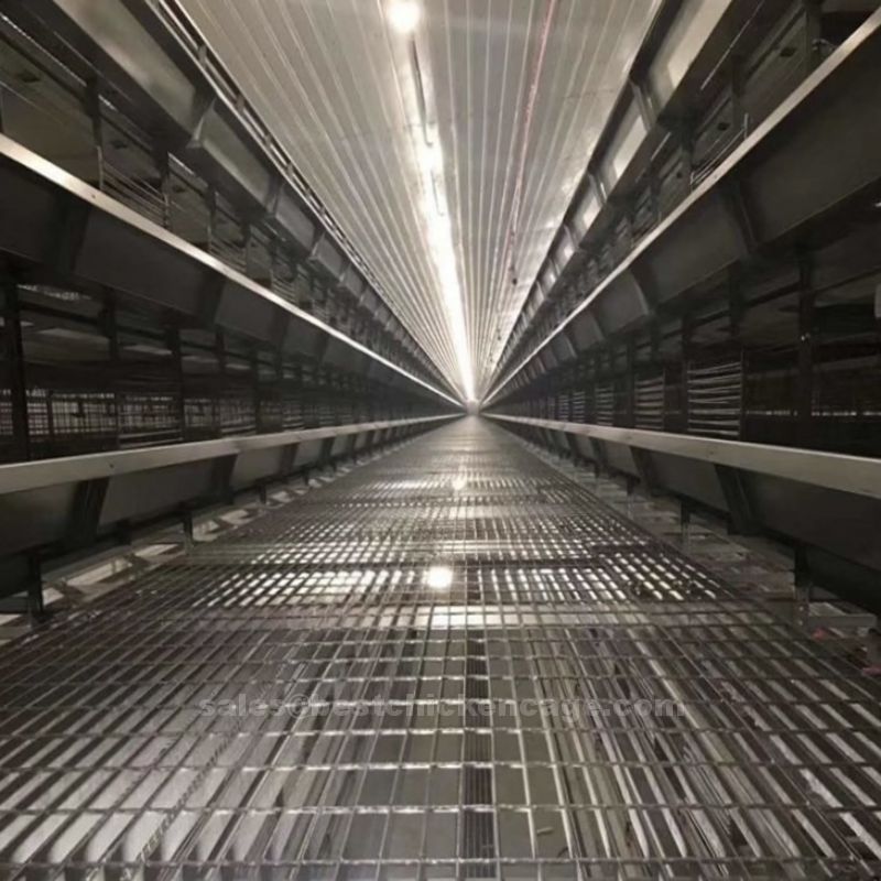 鸡笼或蛋鸡笼H (5).jpg The necessary measures to consider in a battery cage to avoild poultry pollution