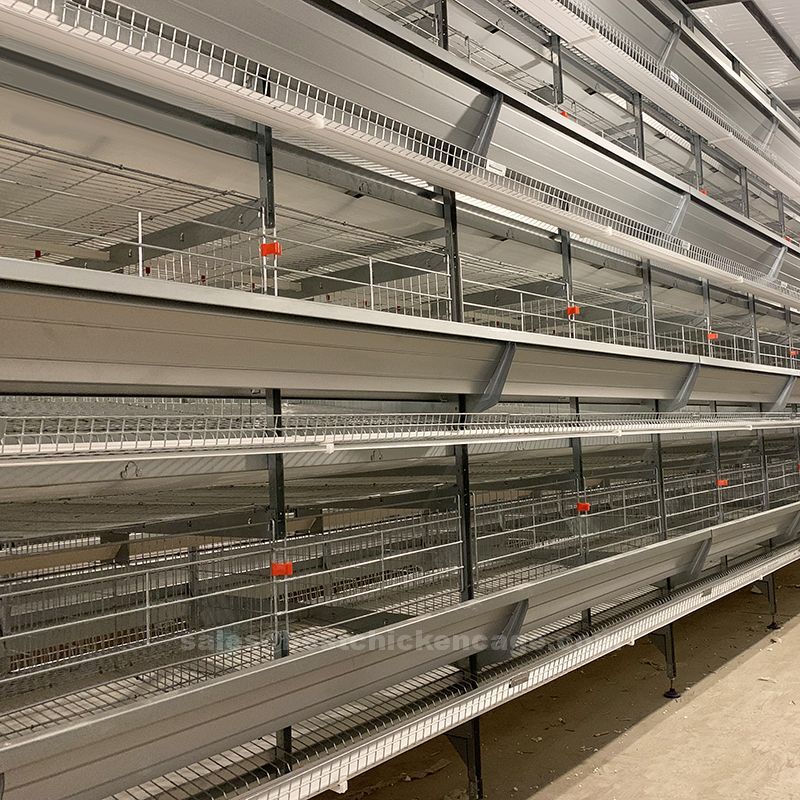鸡笼或蛋鸡笼H (72).jpg Standard size of large cages often includes automated systems for feeding watering and egg collection reducing