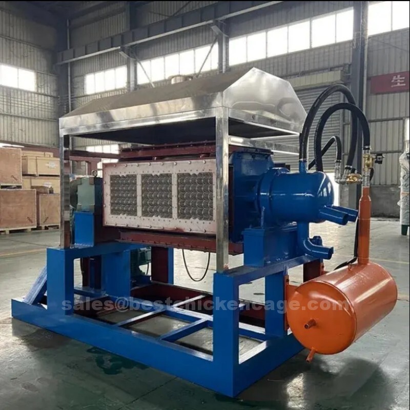 What is 800-1000 pieces per hour egg tray making machine uses recycled paper as raw material and produces eco-friendly