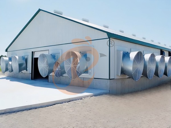 1762356415844717792499150848 Prefab steel poultry house (7)